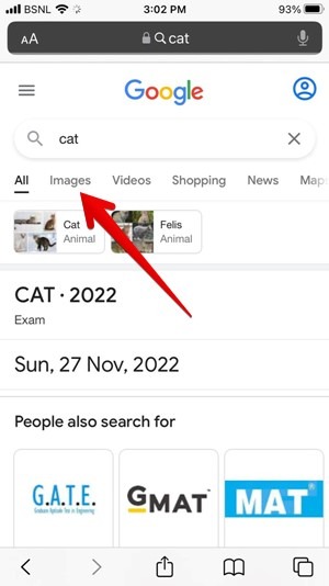 Iphone Google Search Image