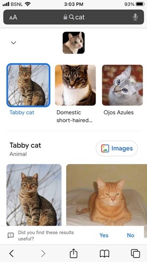 Iphone Google Search Lens Result
