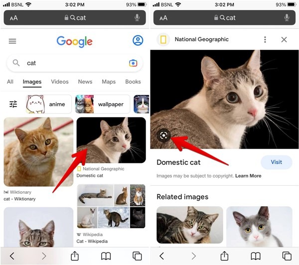 Iphone Google Search Lens