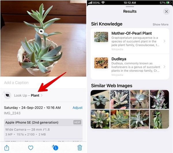 Iphone Photos Look Up Results