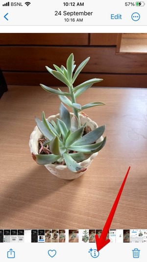 Iphone Photos Look Up