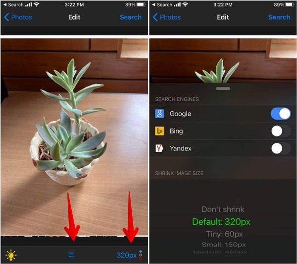 Iphone Reversee Customize
