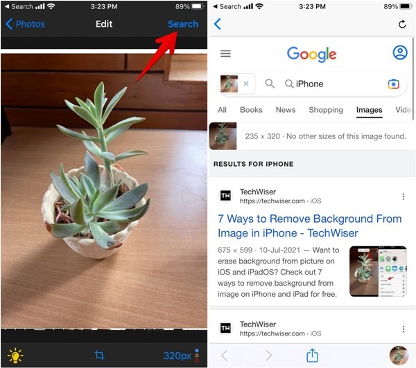Iphone Reversee Result