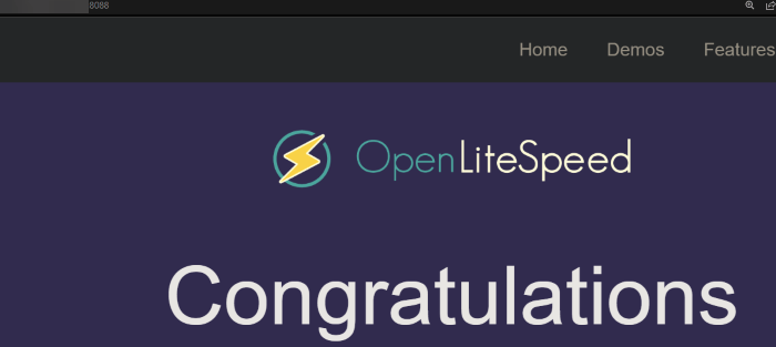 Lomp Stack Accessing Openlitespeed