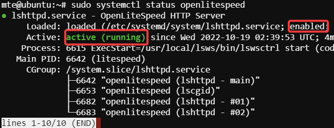 Lomp Stack Status Openlitespeed Service
