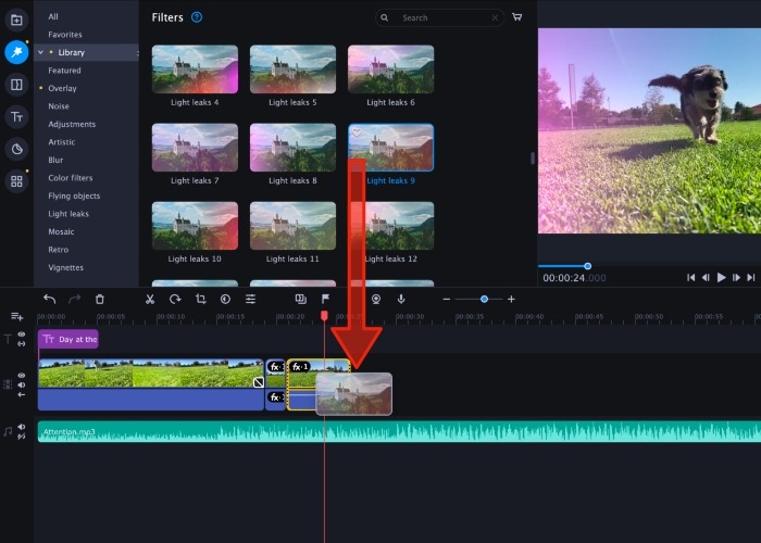 Movavi Filters Light Leak