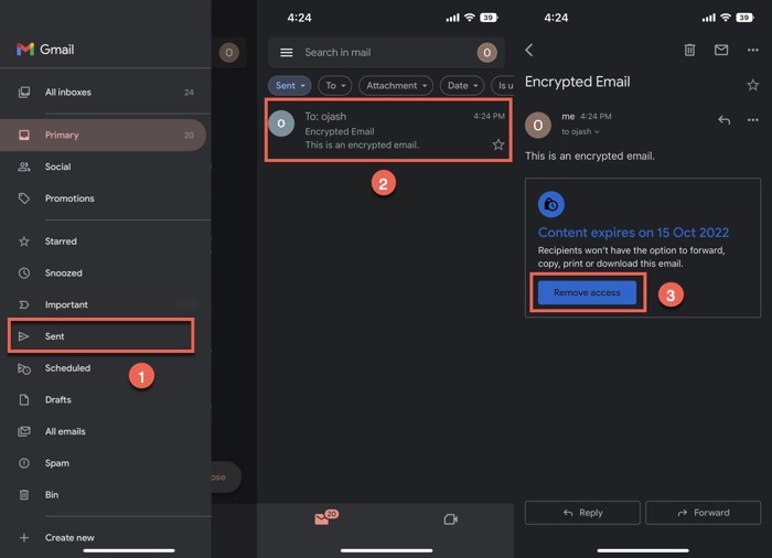 Remove Access To Encrypted Email In Gmail