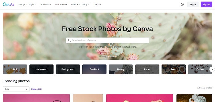 Finding stock photos on Canva.