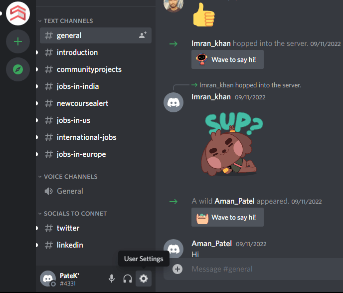 Discord Windows 11 User Settings 1