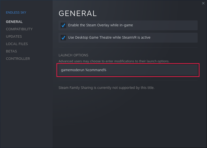 Launch options in Steam
