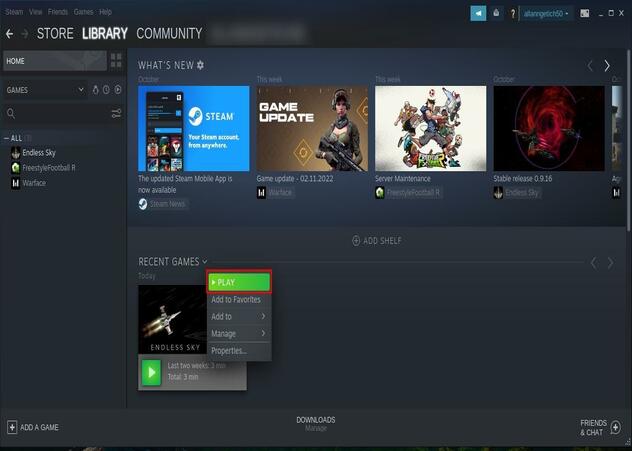 Starting A Game On Steam