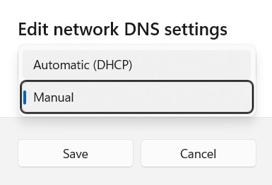 Microsoft Store Not Working Edit Network Dns Manual
