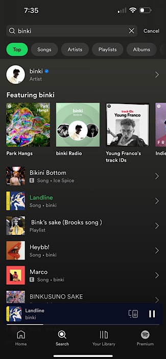 Spotify Search Bar
