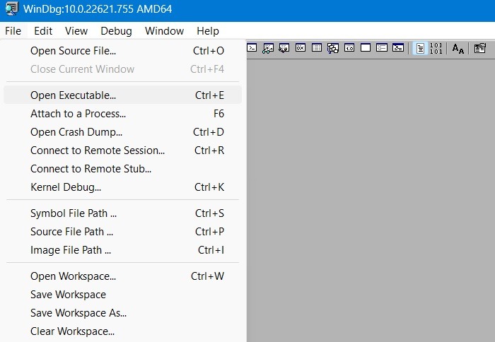 Unexpected Store Windbg Open Executable