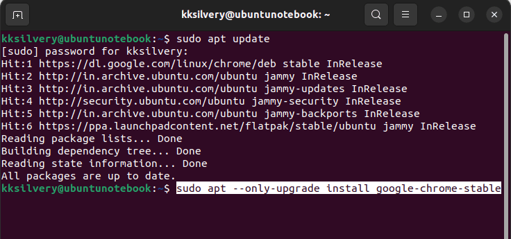 Chrome Update Enter Command