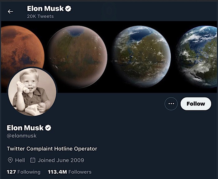 Elon Musk Twitter Mastodon Profile