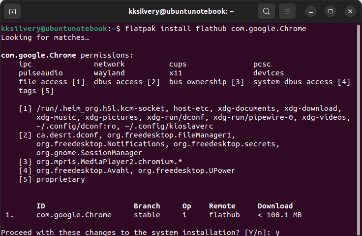 Flatpak Chrome Enter Yes
