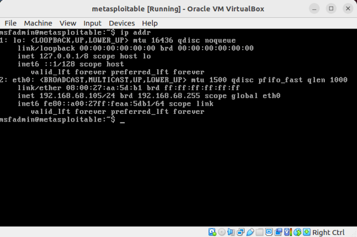 Install Metasploit Linux 23 Check Ip Address Vm
