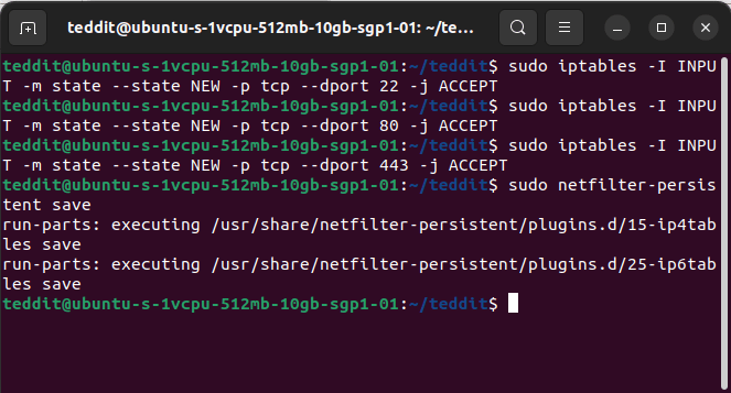 Install Teddit Linux 09 Create Firewall Rules