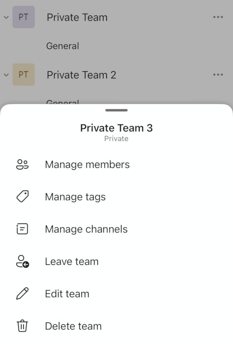 Microsoft Teams Mobile App Teams Options