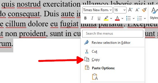 Microsoft Word Right Click Menu 2