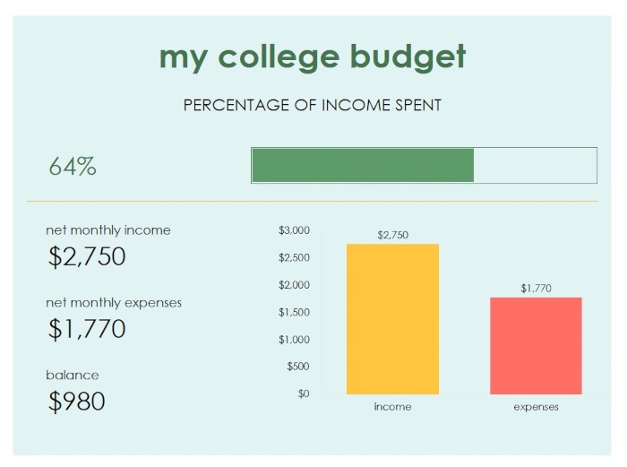My College Budget Template Summary