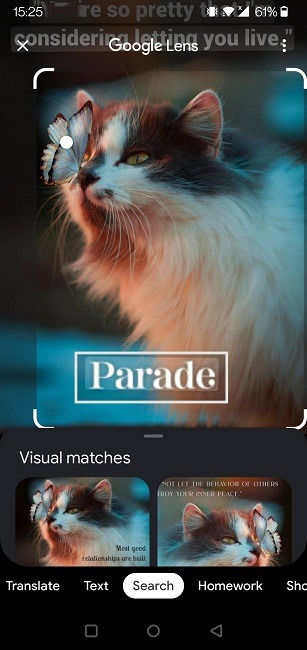 Perform Reverse Image Search Android Chrome Results