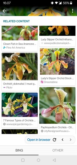 Perform Reverse Image Search Android Sherlock Orchid