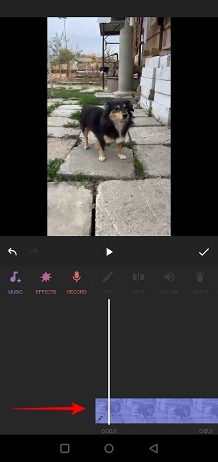 Remove Sound Video Inshot Feed