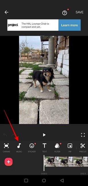 Remove Sound Video Inshot Music