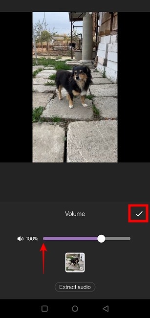Remove Sound Video Inshot Sound Off
