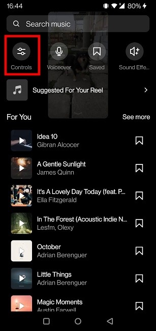 Remove Sound Video Reels Audio Controls