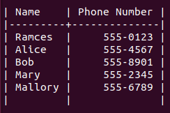 Use Dig Linux Phonebook Sample