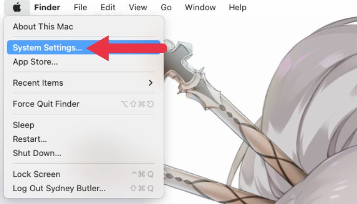 Apple Universalcontrol Systemsettings