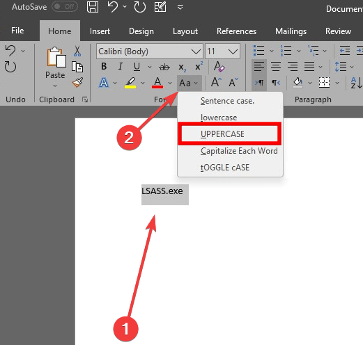 Lsass Title Case Converter In Word View
