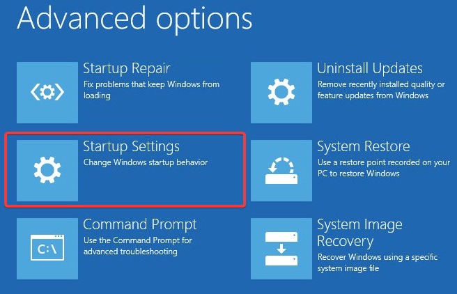 Advanced Options screen after restart in recovery. 