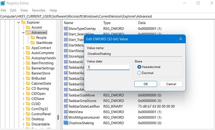 Windows Registry Hacks Advanced Disallow Shaking New Value