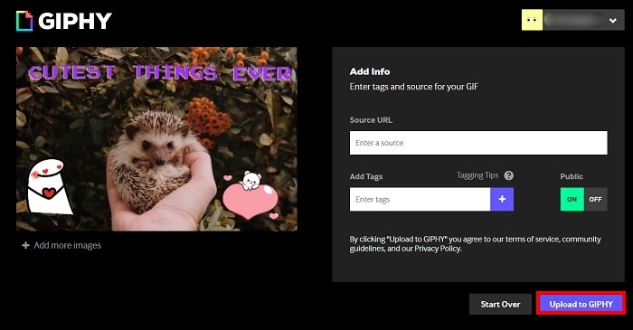 Create Gif Giphy Website Add Info