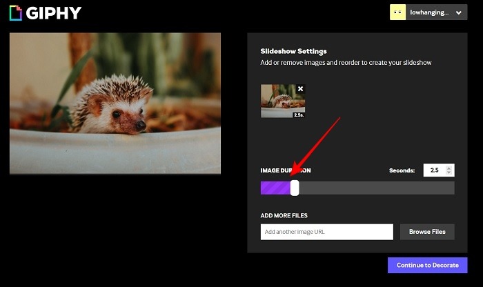 Create Gif Giphy Website Slideshow Settings