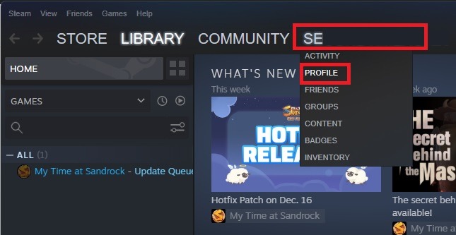 How To Find Your Steam Id And Customize It Steamsettings Profile