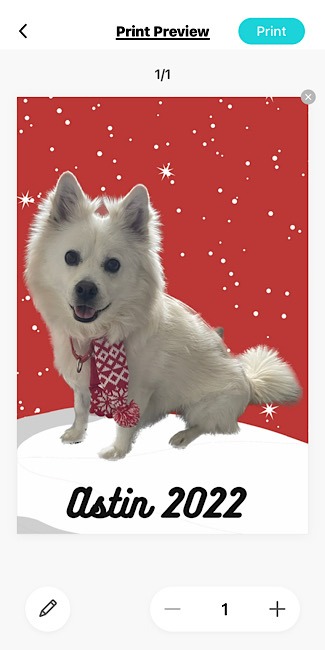 Liene Pearl K100 Mini Photo Printer Print Preview