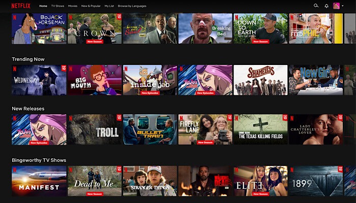 Netflix Homepage