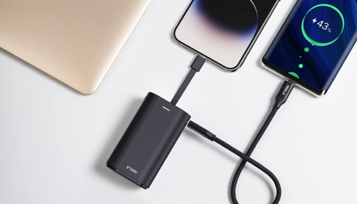 Small Charger Iwalk