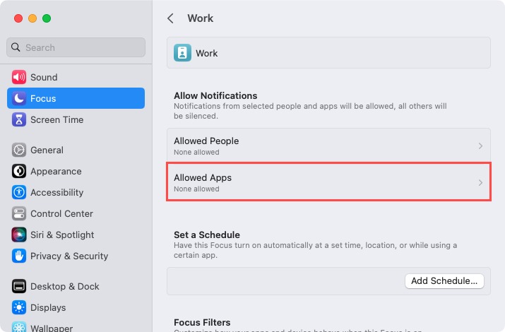 Allowed Apps for a Focus on Mac