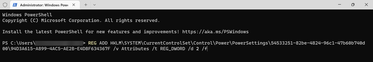 Executing command in PowerShell.