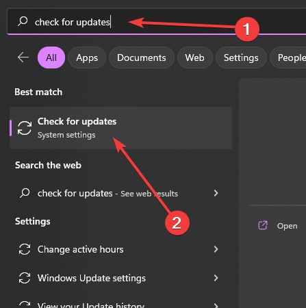 Searching for "Check for Updates" via Windows Search. 