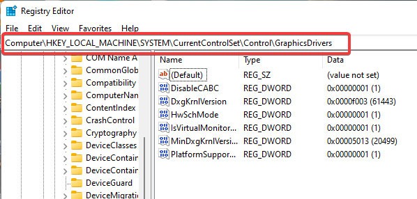 Registry path to GraphicsDriver.