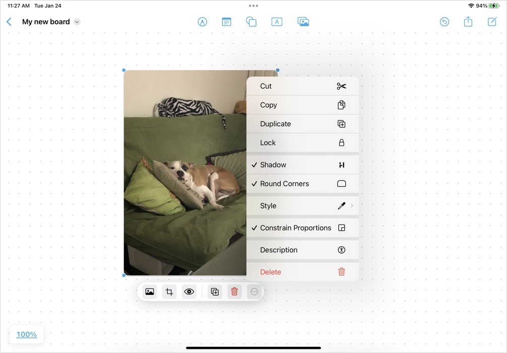 Media format options