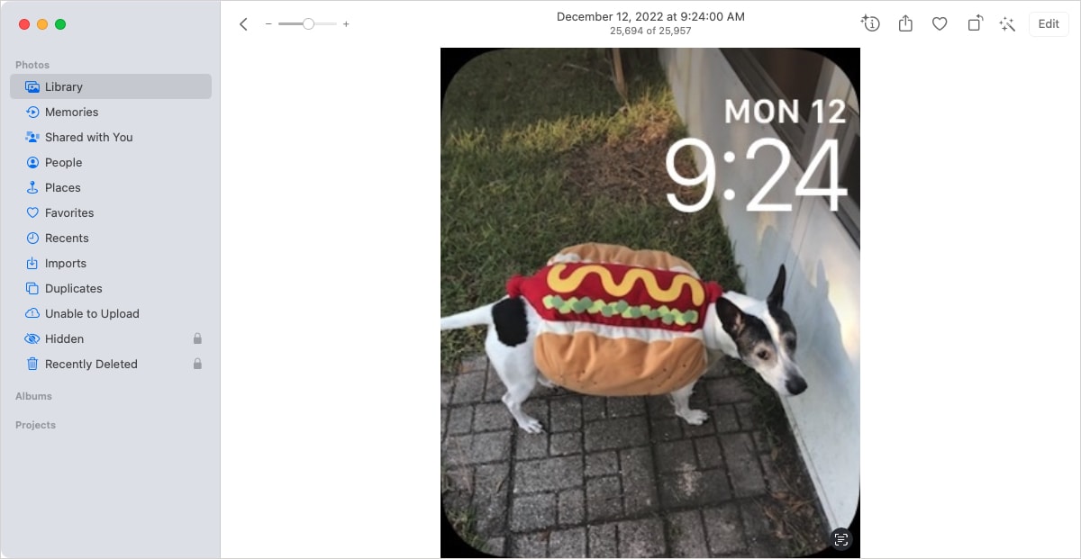 Photo in full view in Photos on Mac 