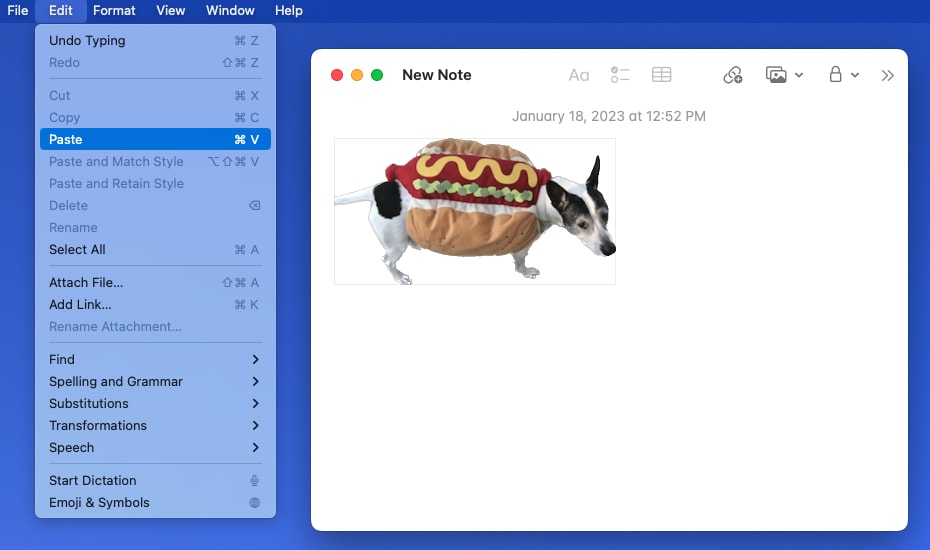 Paste in the menu bar in Notes on Mac